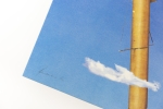 Panamarenko  - Flying tiger