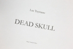 Luc Tuymans - Dead Skull