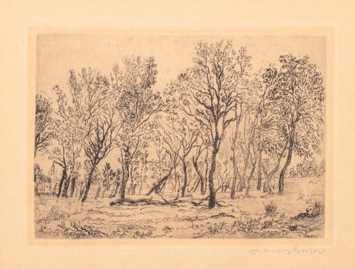 James Ensor - Groupe d'arbres