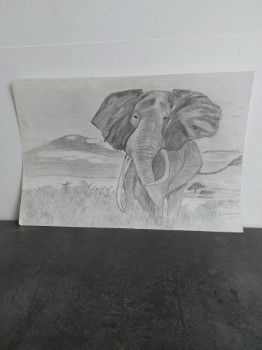 Patricia Ceulemans - Item N 1 - Afrikaanse Olifant