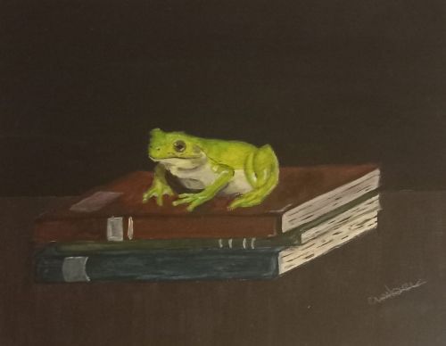 Amber van Noort - Frog on Books