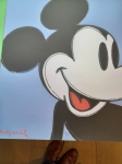 (After) Andy Warhol - Andy Wharhol, Mickey Mouse reeks van 5