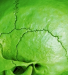 MR Strange Gitard - Death in Green