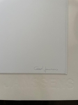 Ann Veronica Janssens - 'Eclips A/B/C/D' van Ann Veronica Janssens  (museum to scale - editie)
