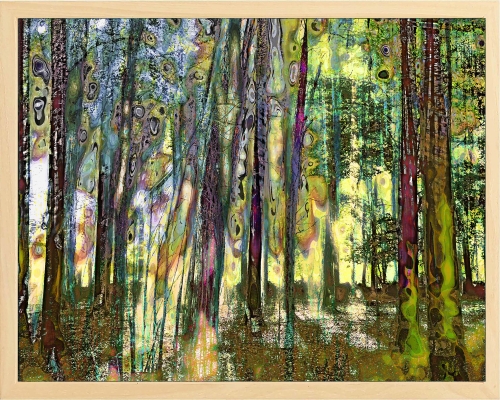 Geert  Lemmers - Mysterious Forrest opus 17