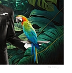 MR Strange Gitard - Mr Bamako