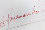 Panamarenko  - Ijsvogel