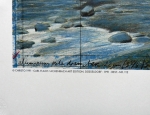 Christo Javacheff - Parapluies Bleus Japon