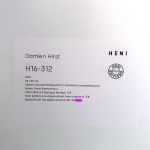 Damien Hirst - The Great Expectations
