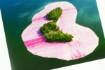 Christo Javacheff - Surrounded Islands, Biscayne Bay