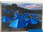 Christo Javacheff - Umbrellas - including original piece of fabric!