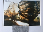 Christo Javacheff - Wrapped Trees - including original piece of fabric!