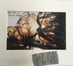 Christo Javacheff - Wrapped Trees - including original piece of fabric!