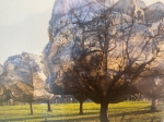 Christo Javacheff - Wrapped Trees - including original piece of fabric!