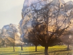 Christo Javacheff - Wrapped Trees- inclusief origineel stukje stof!