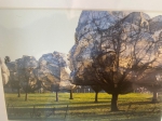 Christo Javacheff - Wrapped Trees - including original piece of fabric!