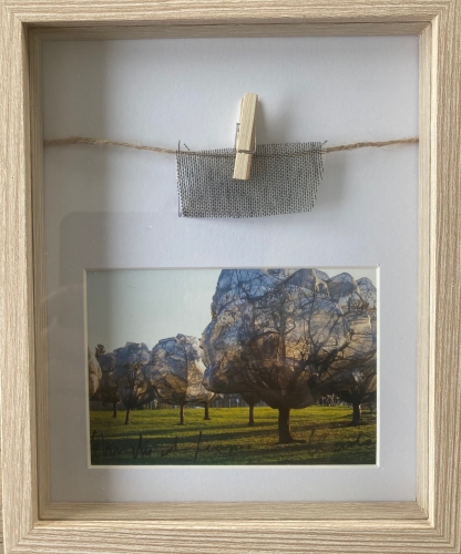 Christo Javacheff - Wrapped Trees - including original piece of fabric!