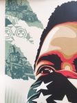 Shepard Fairey - American Rage