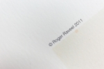 Roger Raveel - Roger Raveel 2011