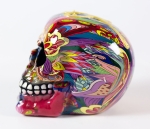 Hannes D'Haese - Skull