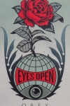 Shepard Fairey - Eyes open