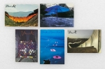 Verzameling gesigneerde postkaartjes (5)