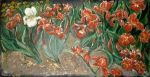 Rode irissen