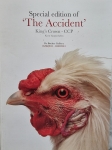 Koen Vanmechelen - Original drawing + special edition of The Accident
