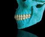 MR Strange Gitard - skull