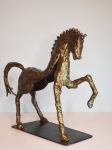 Tihomir Sarajcic - horse