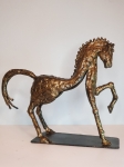 Tihomir Sarajcic - horse