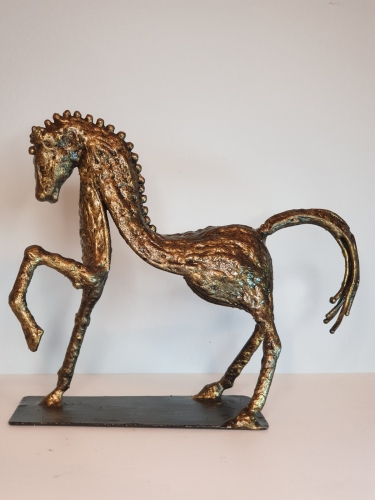 Tihomir Sarajcic - horse