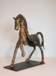 Tihomir Sarajcic - horse