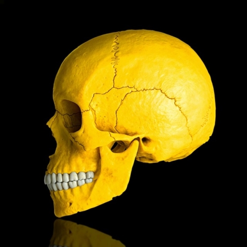 MR Strange Gitard - skull