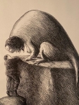 Roland Topor - Sans titre