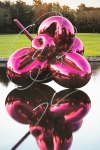 Jeff Koons - fleur ballon (magenta)