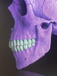 MR Strange Gitard - Skull