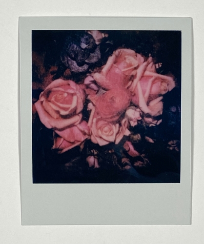 Nobuyoshi Araki - Unieke Polaroid