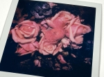 Nobuyoshi Araki - Unieke Polaroid