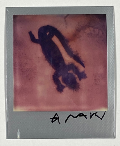 Nobuyoshi Araki - Unique Polaroid