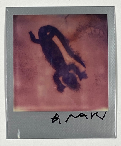 Nobuyoshi Araki - Unieke Polaroid