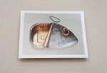 Art Grafts - 'Surreal Fishions' Folio