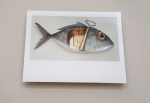 Art Grafts - 'Surreal Fishions' Folio