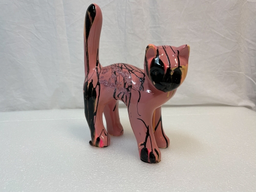 Hannes D'Haese - Pink cat