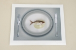 Art Grafts - 'Fishes on Dishes'