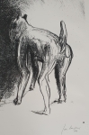 Jan Burssens - Hond