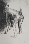 Jan Burssens - Dog