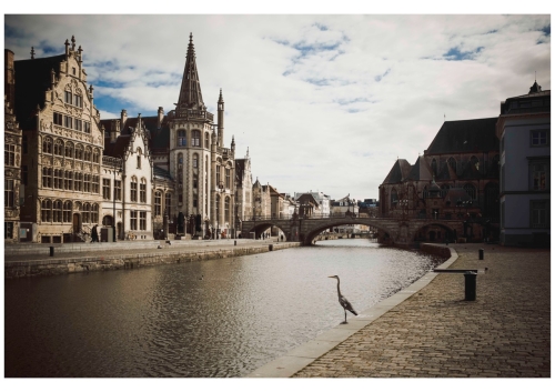 Wannes  Nimmegeers - Reiger