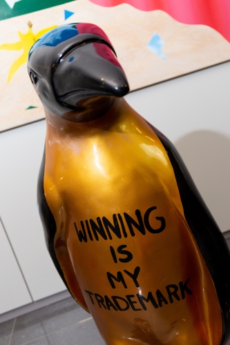 Hannes D'Haese - Winning Penguin