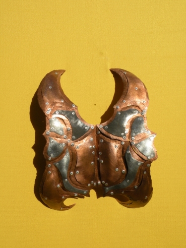 MATHIAS LARDIN - Beetle Shell